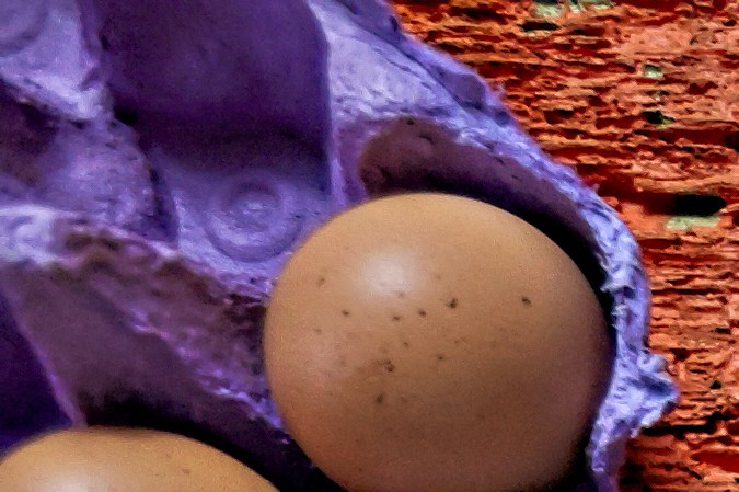 Vegetales de hoja verde 