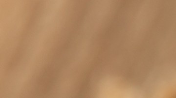 El brócoli es fuente de vitamina K, C, B1, B6, A, E, Cromo, ácido fólico, manganeso, potasio y cobre.