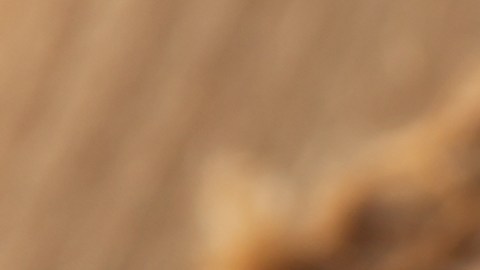 El brócoli es fuente de vitamina K, C, B1, B6, A, E, Cromo, ácido fólico, manganeso, potasio y cobre.