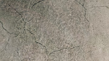 Group,Of,Colleagues,Posing,Near,Concrete,Wall,With,Startup,Images