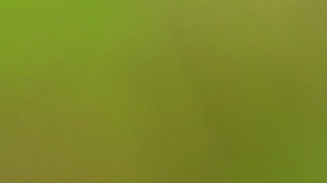 Beber agua es la manera natural de mantenernos hidratados.