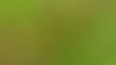 Beber agua es la manera natural de mantenernos hidratados.