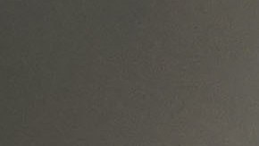 Entre los 30 y 40 años el cabello comienza a perder su pigmentación