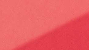 snap-cupones-julio-maryland