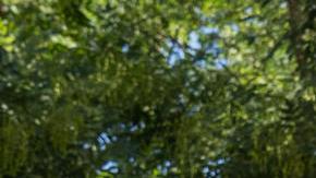 Sliwa propuso crear alojamiento para los migrantes recién llegados en Rikers Island, que según él hay camas para 20,000 personas.