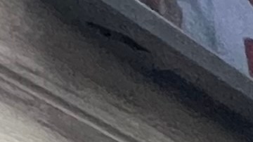 Advierten sobre venta de productos horneados peligrosos con marihuana en tiendas ilegales