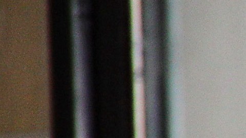 Marco Antonio Regil.