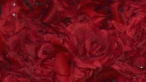 Aylín Mujica ha sido frecuentemente invitada a 'La Mesa Caliente'.