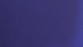 La modelo profesional Madison Anderson presume a su nuevo gran amor.