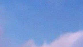 Francisca está feliz con este nuevo embarazo y así lo expone en Despierta América junto a sus compañeros.