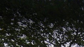 Manor Community Church, Chelsea, NYC.