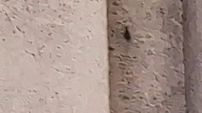 Por segunda vez en la historia los chapines residentes en el exterior pueden sufragar