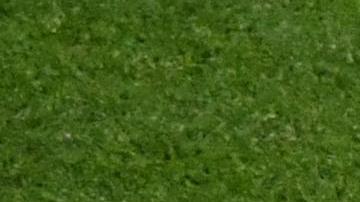 Olga Carmona llora de felicidad tras ganar el Mundial con España.