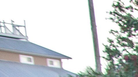 Destrozos del huracán Idalia en Florida