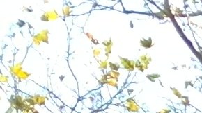 Piden redoblar precauciones ante nueva variante COVID