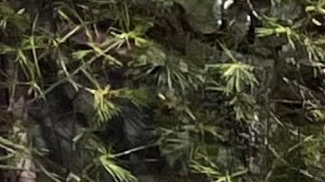 Un reporte del Contralor Brad Lander asegura que el DOE sigue sin hacer su tarea con los niños con discapacidades a pesar de millonarios reclamos en el sistema legal por sus fallas.