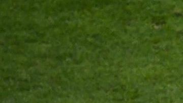 Las jugadoras españolas celebran su victoria ante las inglesas en la final del Mundial Femenino.