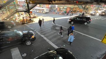 Concejales neoyorquinos piden al Gobierno federal acciones contra placas fantasma