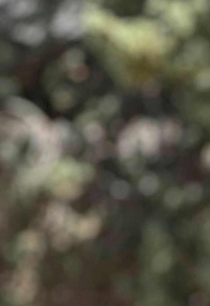 En la imagen aparece la princesa Leonor, la heredera a la corona española, en su primer día de en la Academia de Zaragoza con traje de campaña.