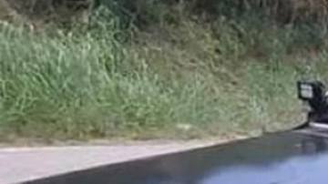 Alexis Alicea Torres