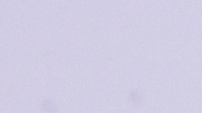 Andrea Meza enfrenta un nuevo reto profesional.