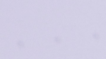 Andrea Meza enfrenta un nuevo reto profesional.