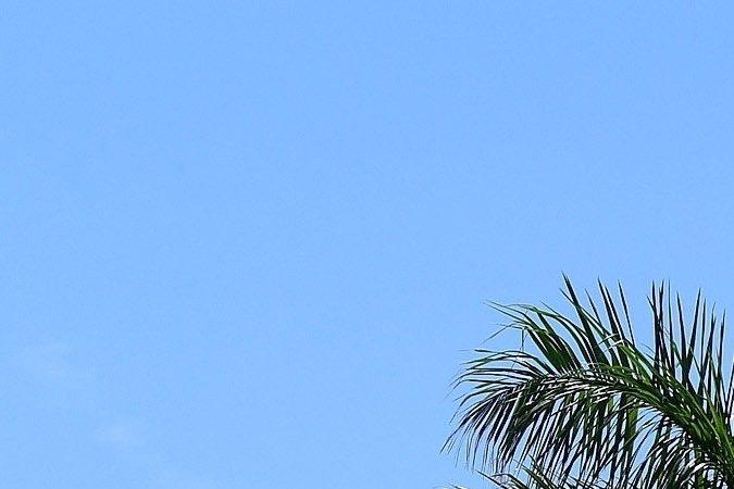 La residencia se ve moderna y con muchas comodidades en su interior.