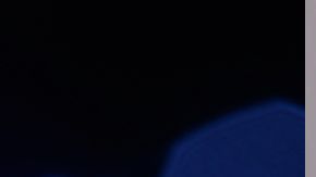 La insólita fotografía policíal de Trump.