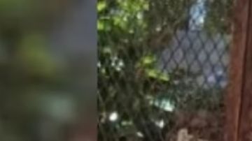 Confirman muerte del mexicano Carlos Tomás Aranda. ConsuladoMexVan