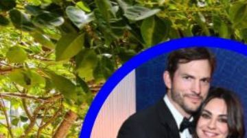 Ashton Kutcher y Mila Kunis saludarán al inquilino en su llegada.