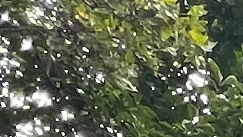 La muerte el martes del preso Donny Ubiera, de 33 años, elevó la cifra de muertos a 27 desde el año pasado