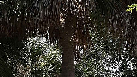 Funcionario del Departamento de Policía de Fort Lauderdale fue acusado de asesinato premeditado