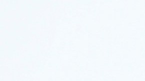 Vigilia por muertos en tiroteo en sinagoga de Pittsburgh