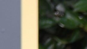 Irina Shayk y Bradley Cooper en los Golden Globes 2019.