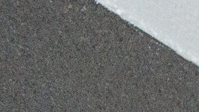 Para algunos, la nueva ley es "sentencia de muerte para muchos animales".