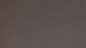 "Sus acciones públicas me dan asco": Alex Morgan mostró su repudio por el beso de Rubiales a Jenni Hermoso