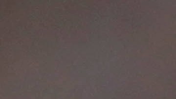 "Sus acciones públicas me dan asco": Alex Morgan mostró su repudio por el beso de Rubiales a Jenni Hermoso