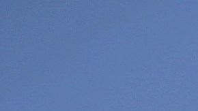 Cuál es el estado de EE.UU. en el que mueren más hispanos por armas de fuego