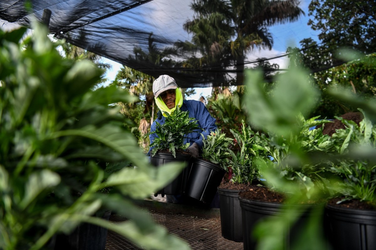 Lanzan 5 consejos para inmigrantes ante peligro de Ley SB 1718 en