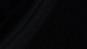 Polanco Rodríguez fue detenido al noroeste de República Dominicana, tras la petición de extradición de tribunal del Distrito Medio de Pensilvania.