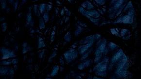 TOPSHOT-RUSSIA-PRISON-NAVALNY