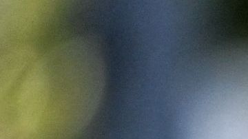 Los fiscales han solicitado al juez Kelly que condene a Tarrio a 33 años de cárcel y a Nordean a 27 años tras las rejas.