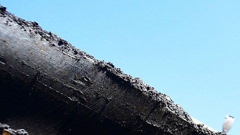 Hay estados, como California, que tienen políticas en temporada de calor para quienes laboran al aire libre.