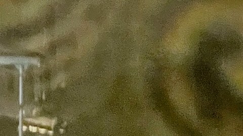 Varios estados de la costa Este bajo alerta de tormenta.
