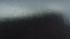 El sospechoso de abrir fuego perdió la vida.