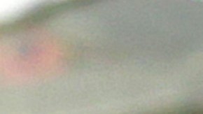 El exjugador argentino consideró que tiene un importante trabajo con Independiente.