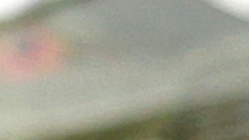 El exjugador argentino consideró que tiene un importante trabajo con Independiente.