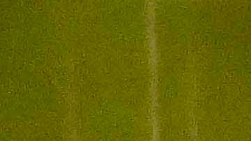 Chihuahua impondrá multas a intérpretes de canciones que "promueven la violencia contra las mujeres".