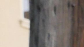 La Convención Nacional Republicana del año 2028 será en Houston, Texas