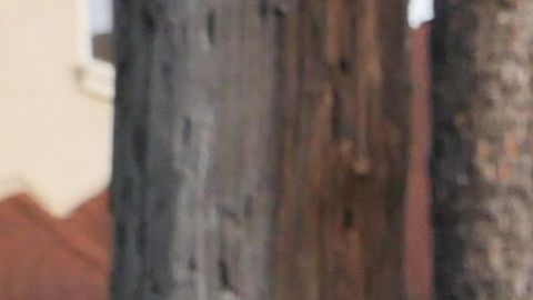 La Convención Nacional Republicana del año 2028 será en Houston, Texas